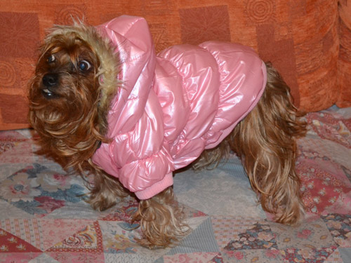 Ingrosso Cappottini per cani